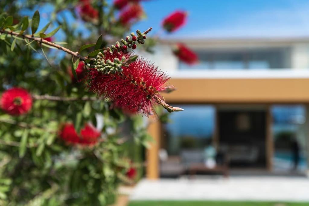 Amare Chania Luxury Residence Sztérnesz Kültér fotó